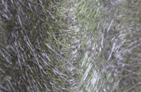 Noseley fibreglass roof work